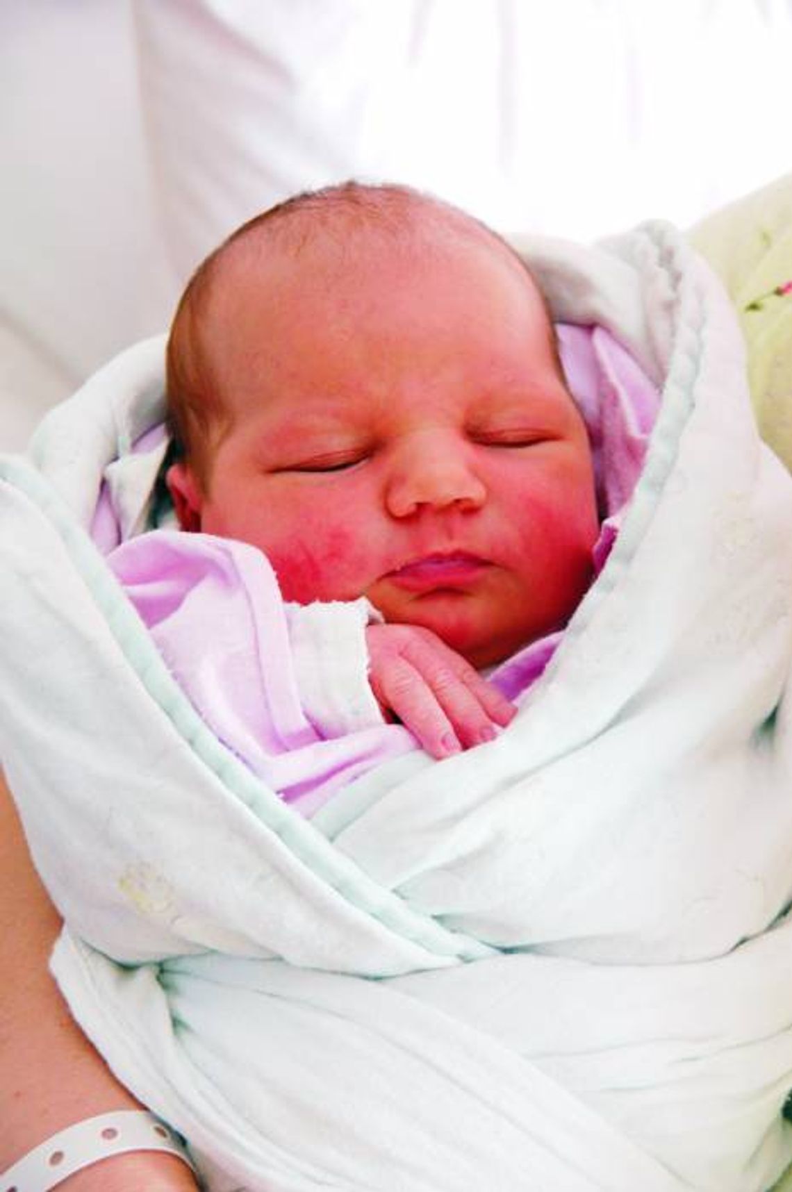 Ania Celej Ania Celej