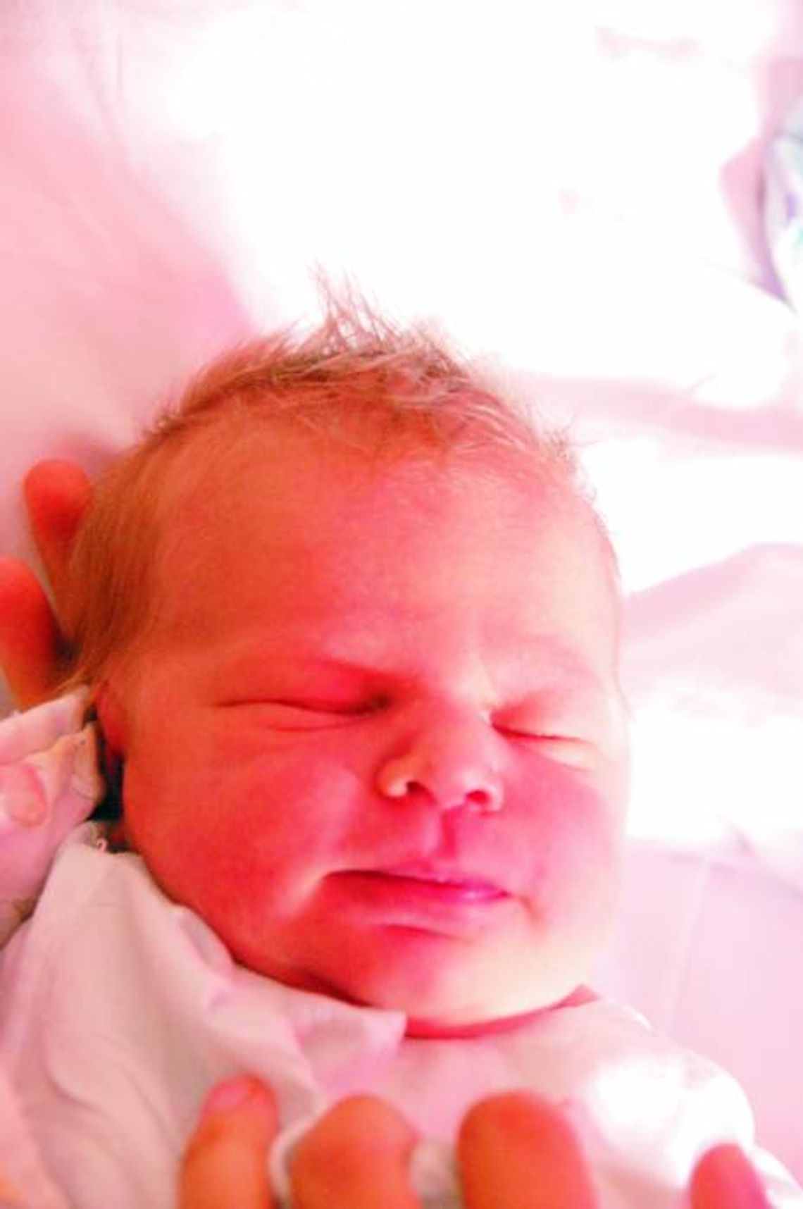 Anna Bilewicz Anna Bilewicz