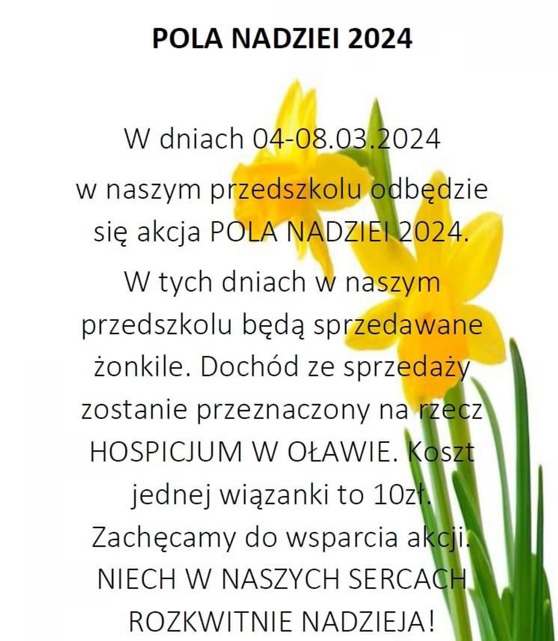 Będzie "wielka żonkilowa kąpiel"