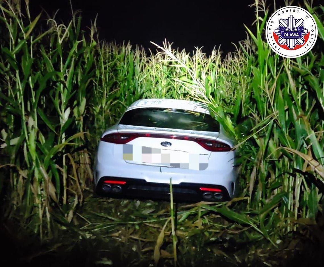 Bez prawka i na bani swoją podróż zakończył w polu kukurydzy