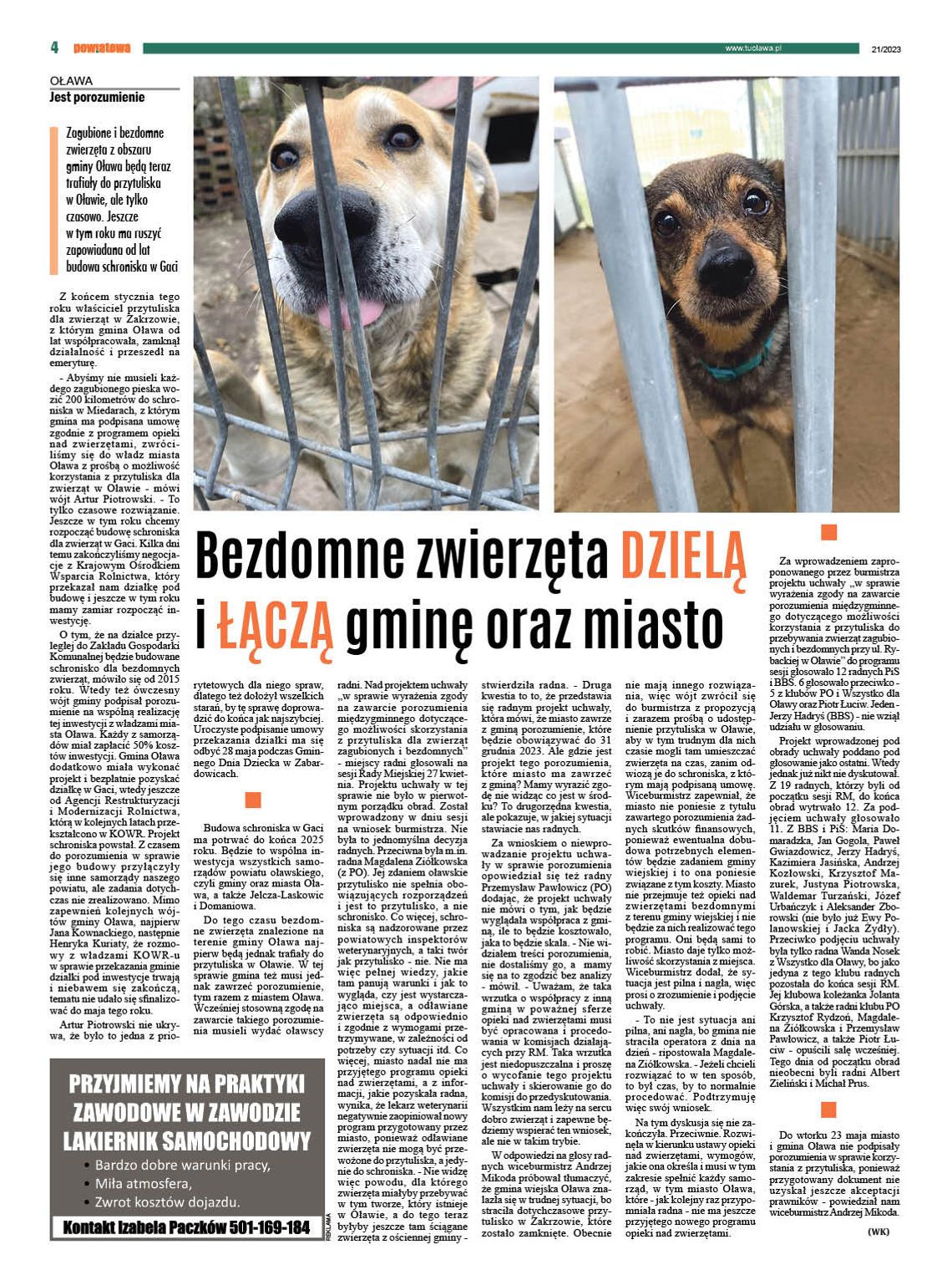Bezdomne zwierzęta dzielą i łączą gminę oraz miasto Oława