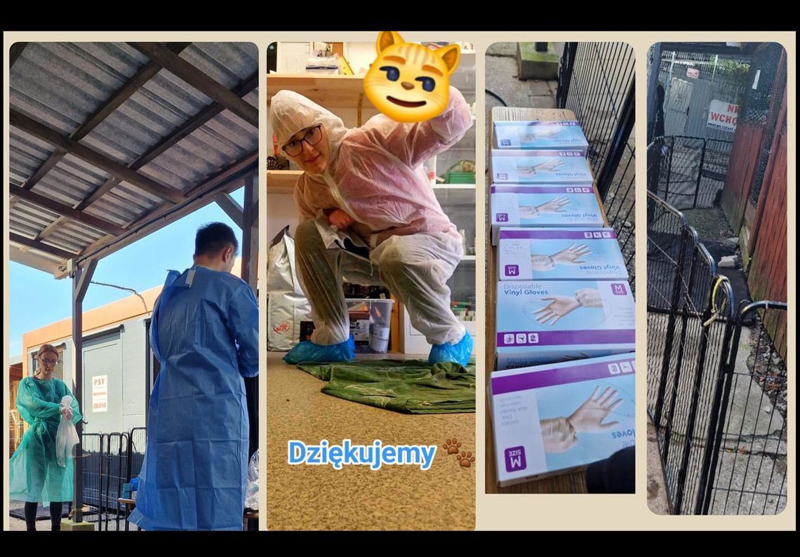 "Bezsilność złamała nam serca. Zrobiliśmy wszystko, co było w naszej mocy"