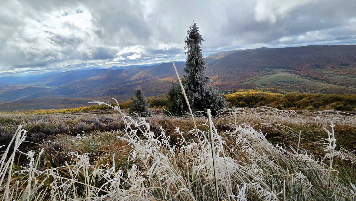 Bieszczadzkie połoniny jesienią - to trzeba zobaczyć! (GALERIA) Bieszczadzkie połoniny jesienią - to trzeba zobaczyć! (GALERIA)