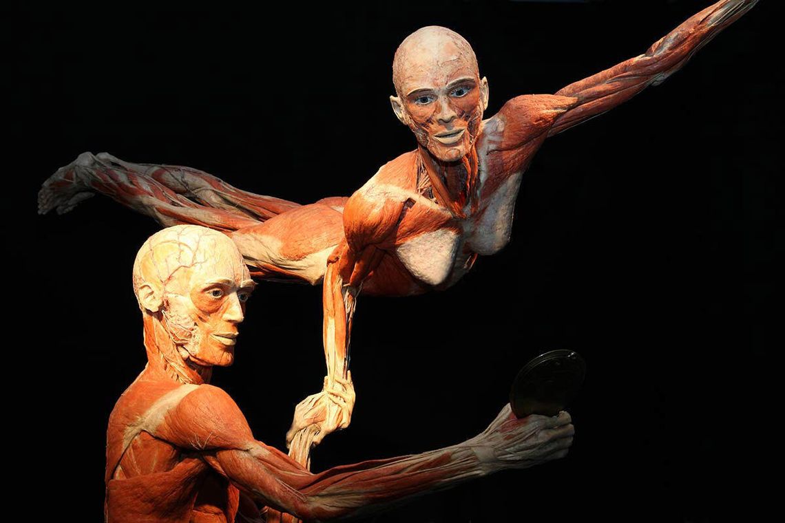 dr Gunther von Hagens
