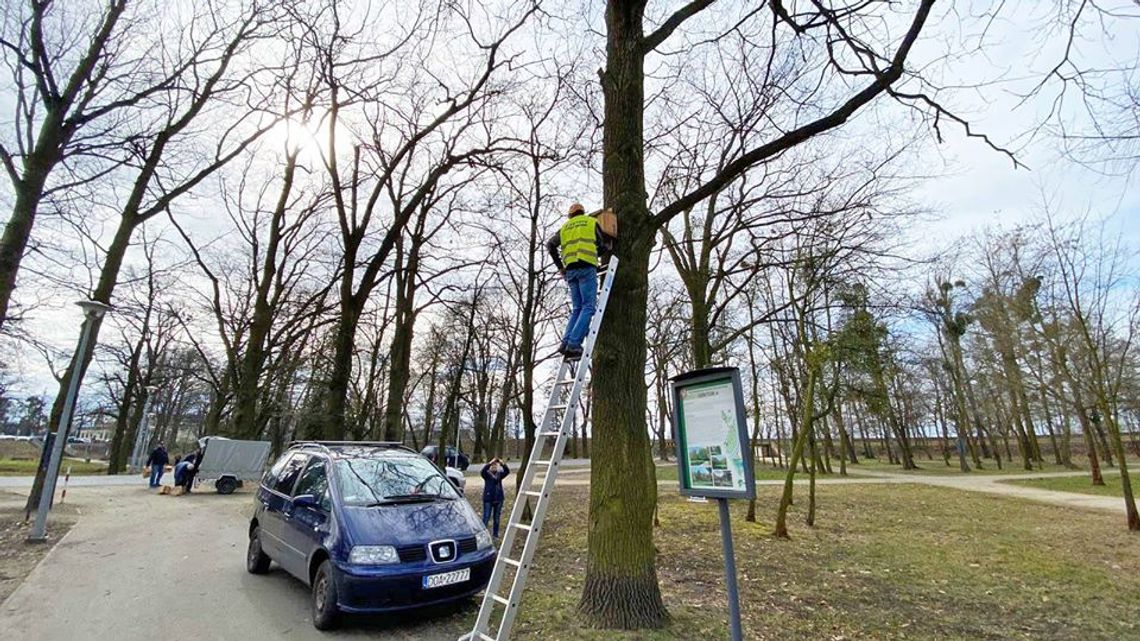 Budki lęgowe od seniorów