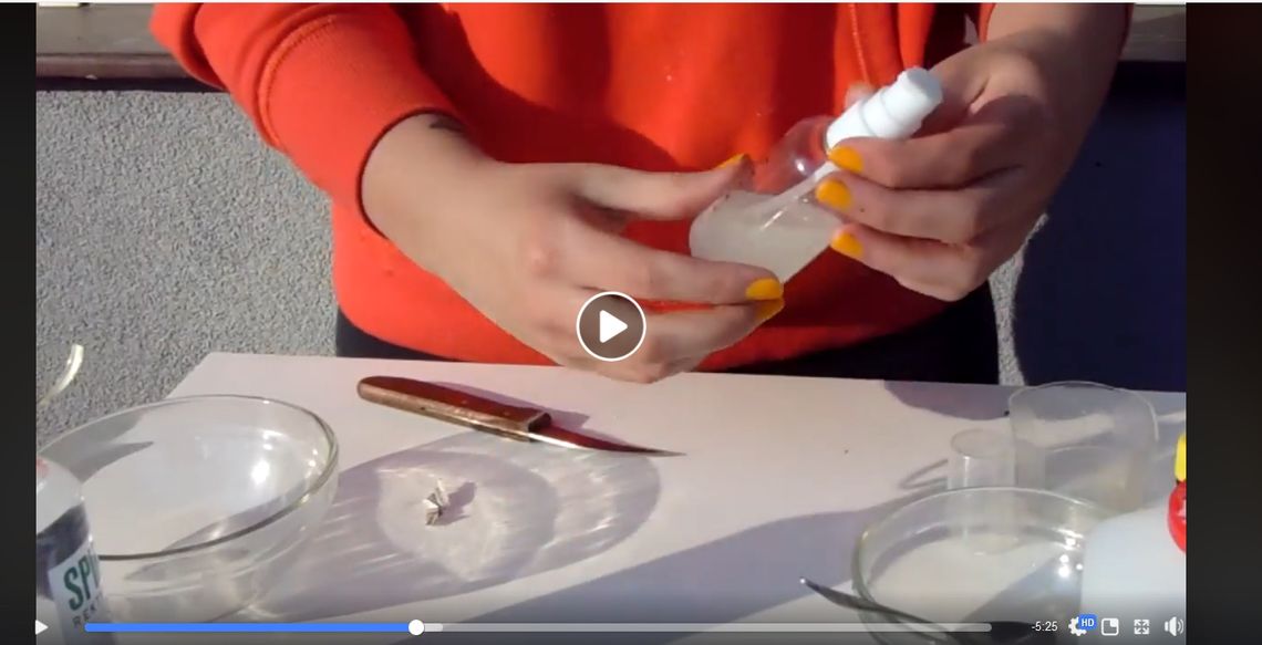 Centrum Sztuki pokazuje jak zrobić żel antybakteryjny i mydełko