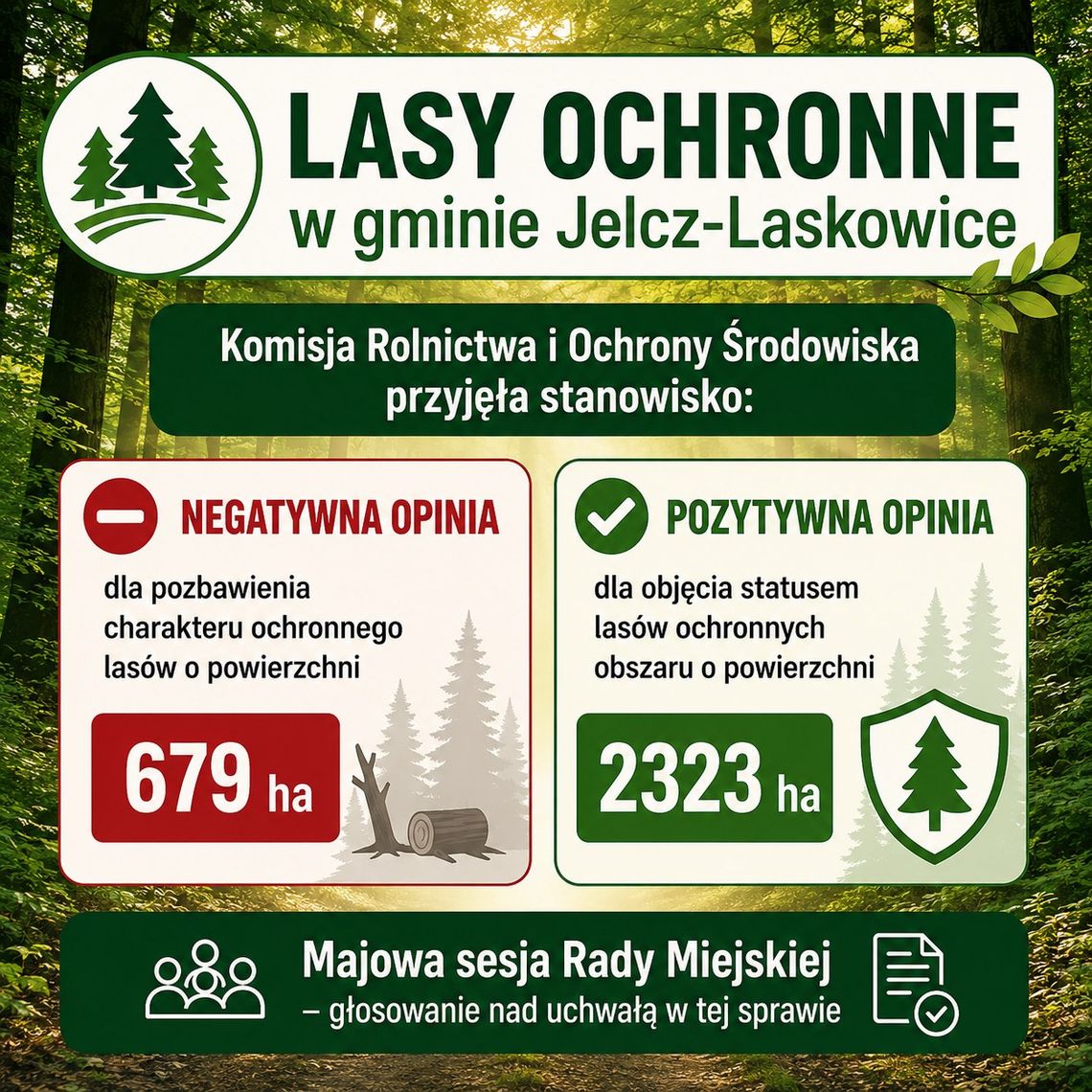 Chcą chronić lasy, a nie rezygnować z ich ochrony Chcą chronić lasy, a nie rezygnować z ich ochrony