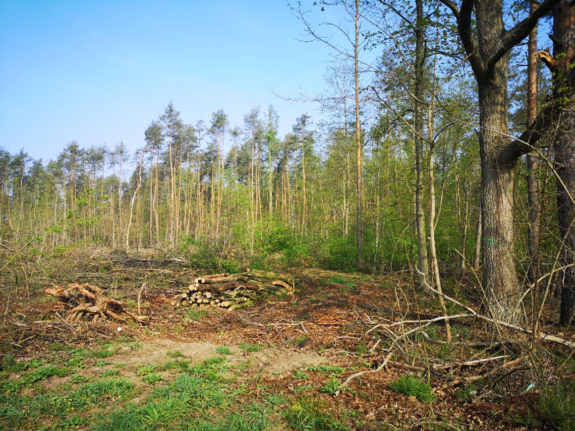 Cięcie, czyli "nieszablonowe działania"