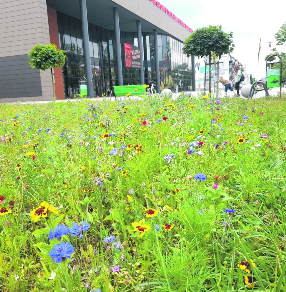 Cieszy oko i zatrzymuje wilgoć Cieszy oko i zatrzymuje wilgoć