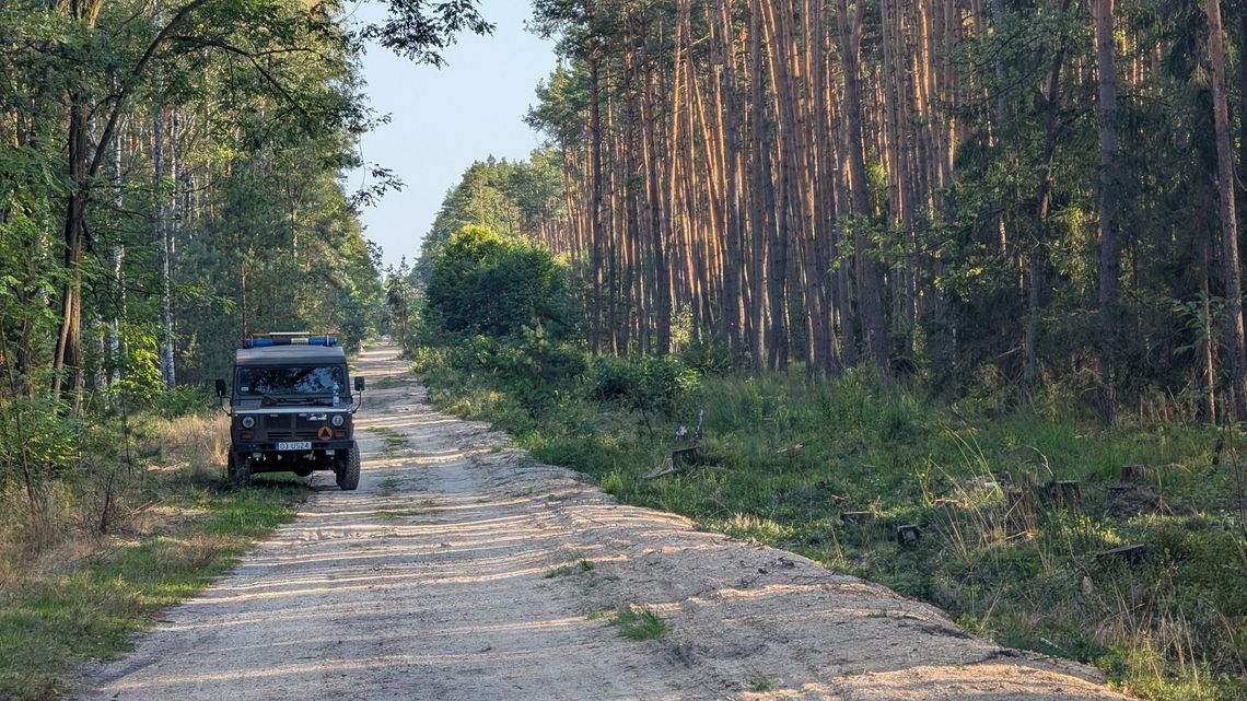 Co robią saperzy w naszych lasach?