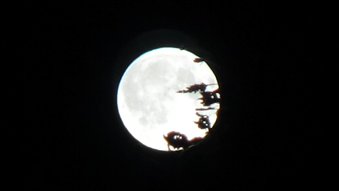 Co słychać na niebie? Co słychać na niebie?