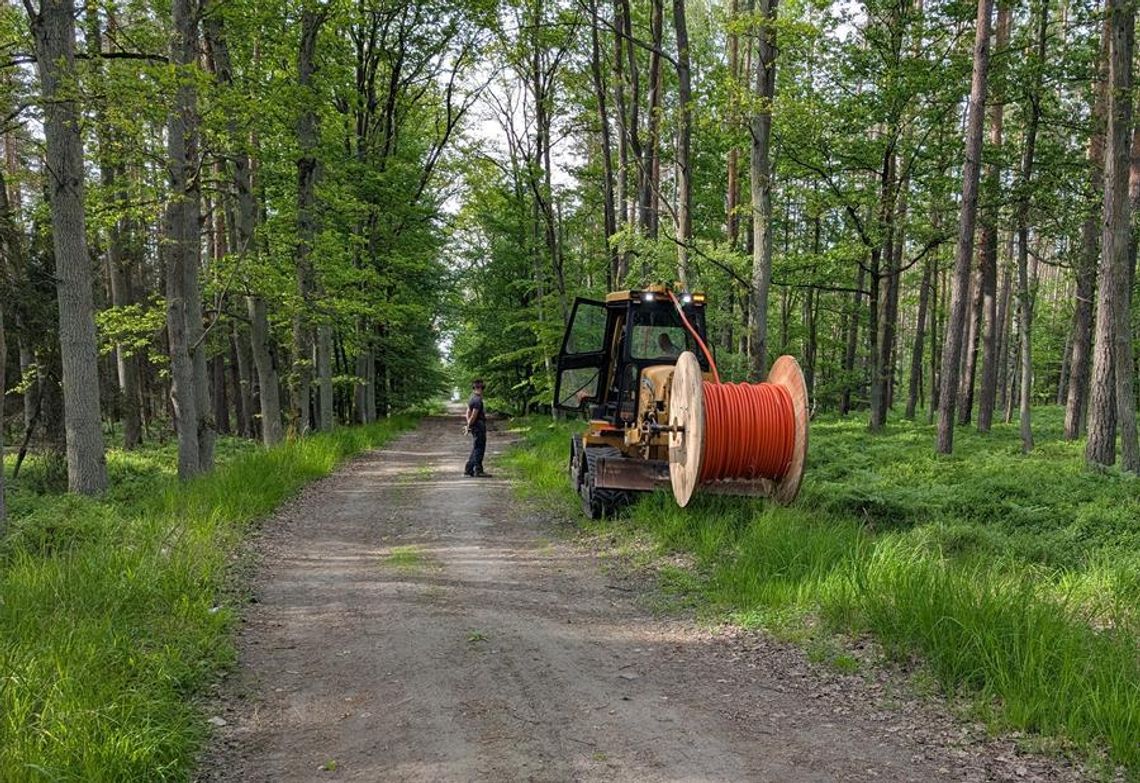 Co ta maszyna robi w środku lasu?