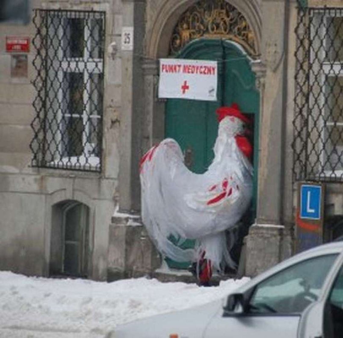 Cock czy rooster?