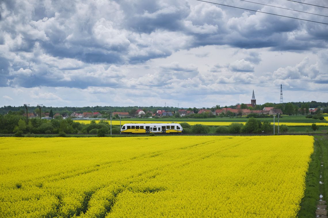 Czerwcowy długi weekend z Kolejami Dolnośląskimi. Jeden bilet, setki pomysłów na wyjazd Czerwcowy długi weekend z Kolejami Dolnośląskimi. Jeden bilet, setki pomysłów na wyjazd