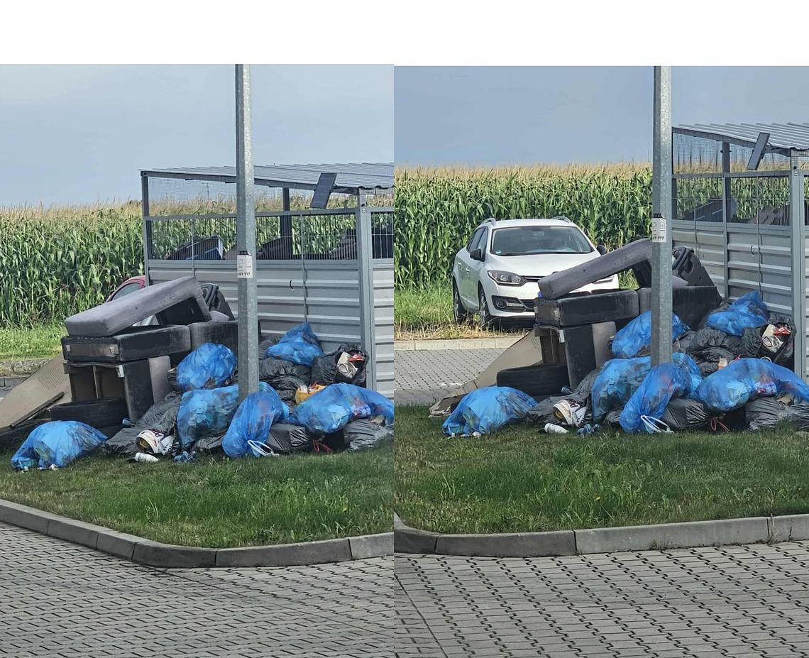 Czytelniczka proponuje MINUS, zarządca tłumaczy