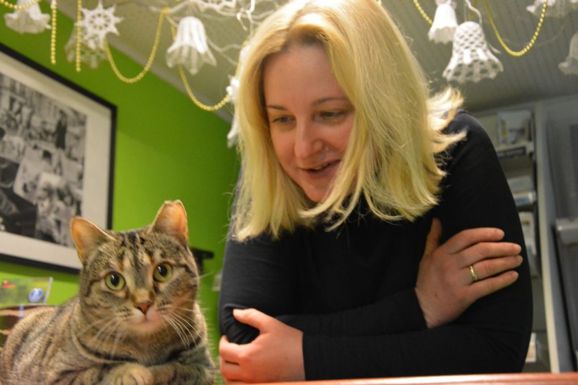 Dania wigilijne zostawmy dla ludzi! Przypominamy bardzo ważny temat!