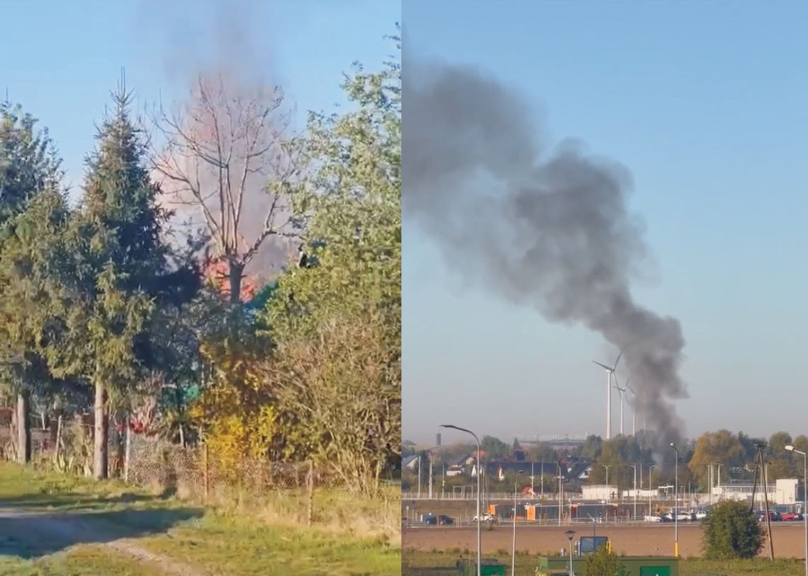 Oława. Pożar na działkach (FILMIKI)