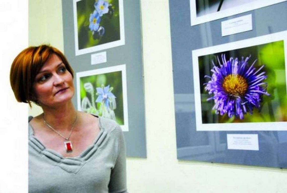 Decyzje Ślipko legalne Decyzje Ślipko legalne