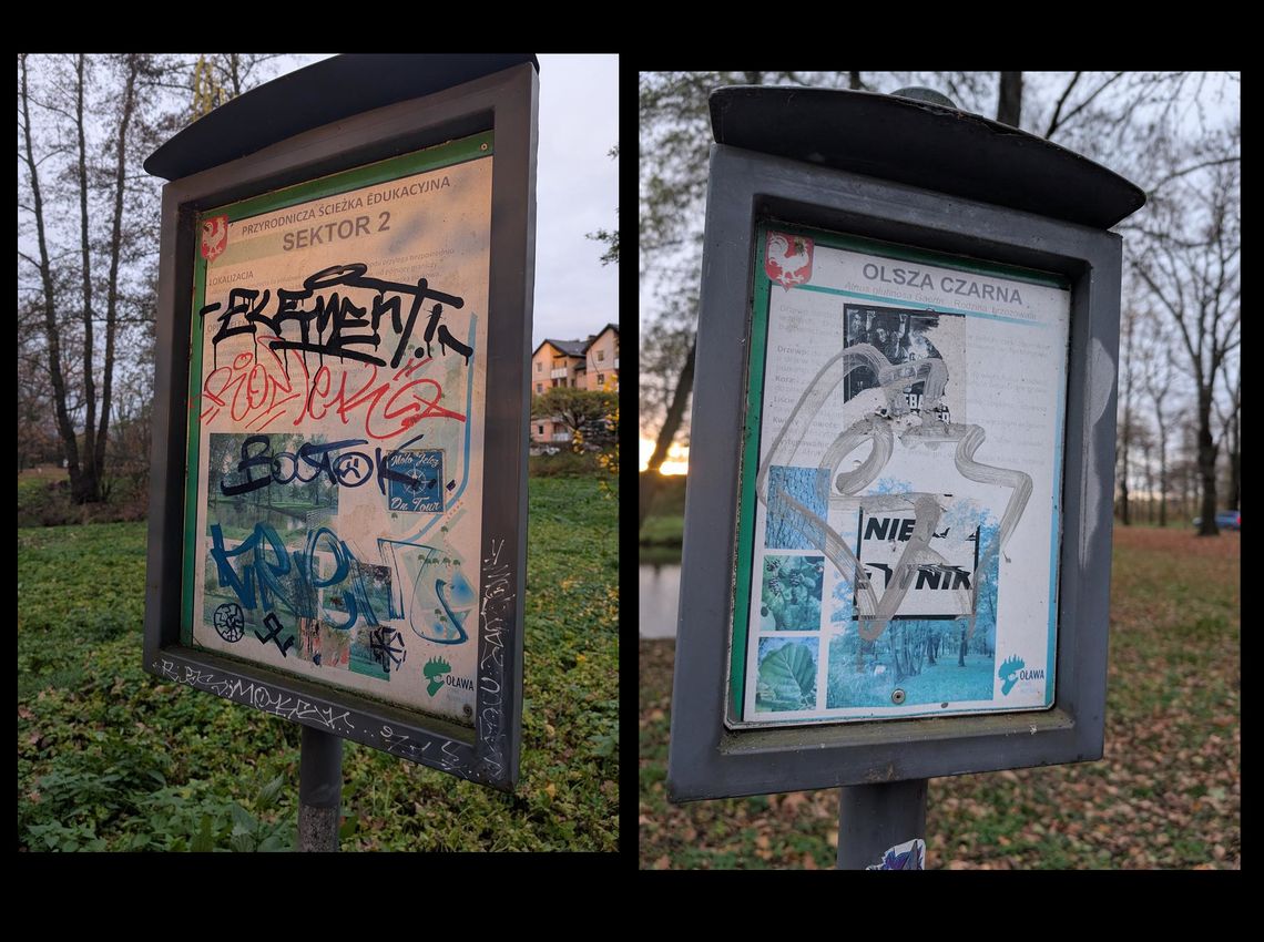 Dlaczego wszystko wokoł siebie niszczymy?