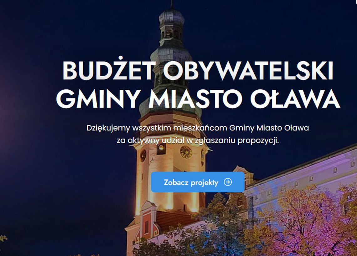 Pod głosowanie trafią jednak 3 projekty