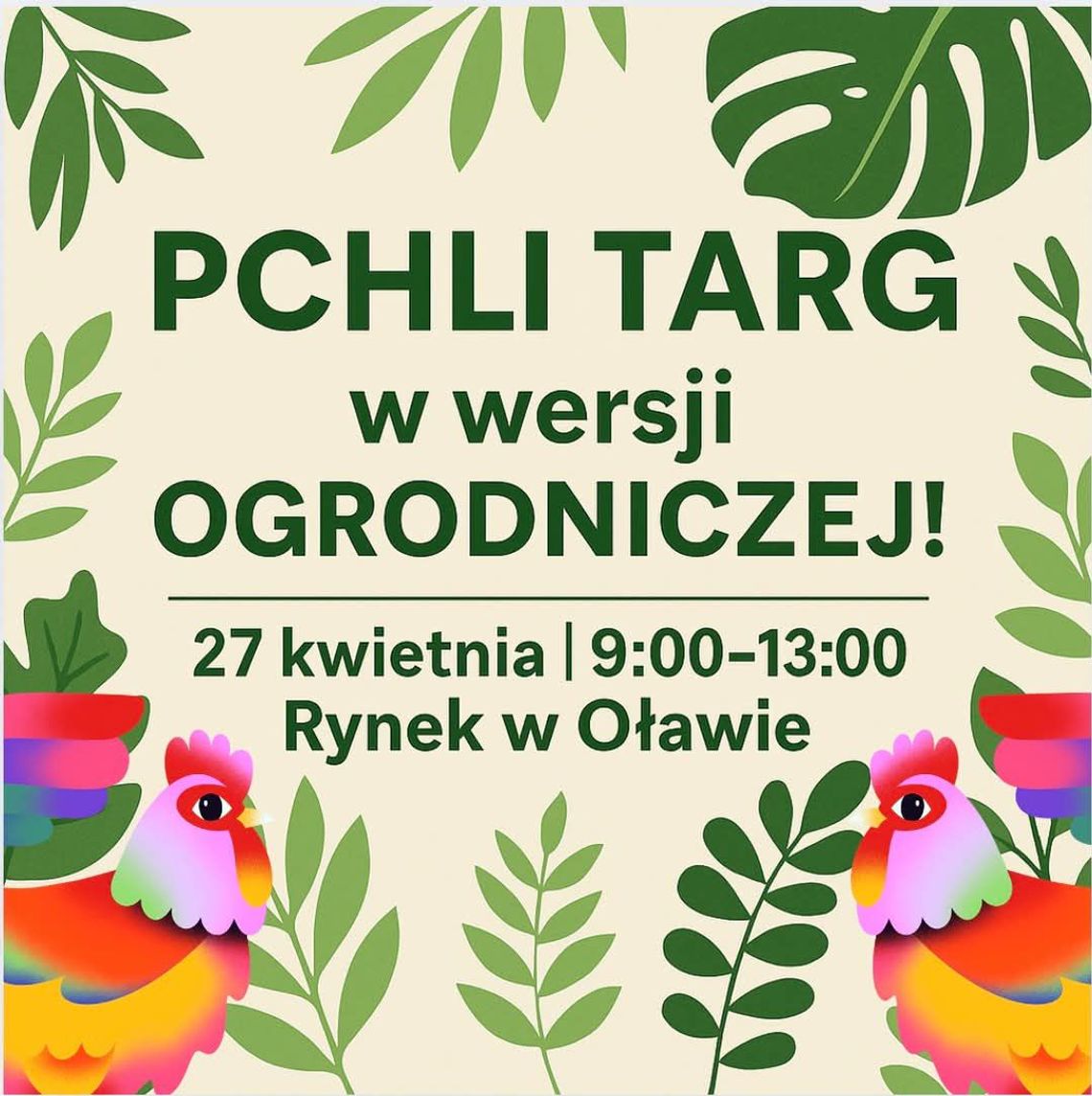 Do rozdania aż 300 porcji nasionek łąk kwietnych!
