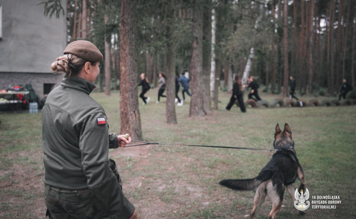 Dolnośląscy Terytorialsi w akcji