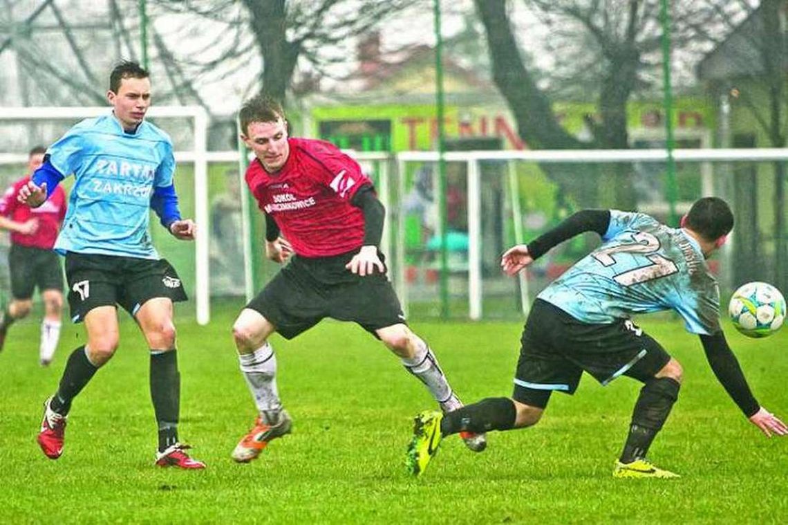 Drapieżny derbowy Sokół Drapieżny derbowy Sokół