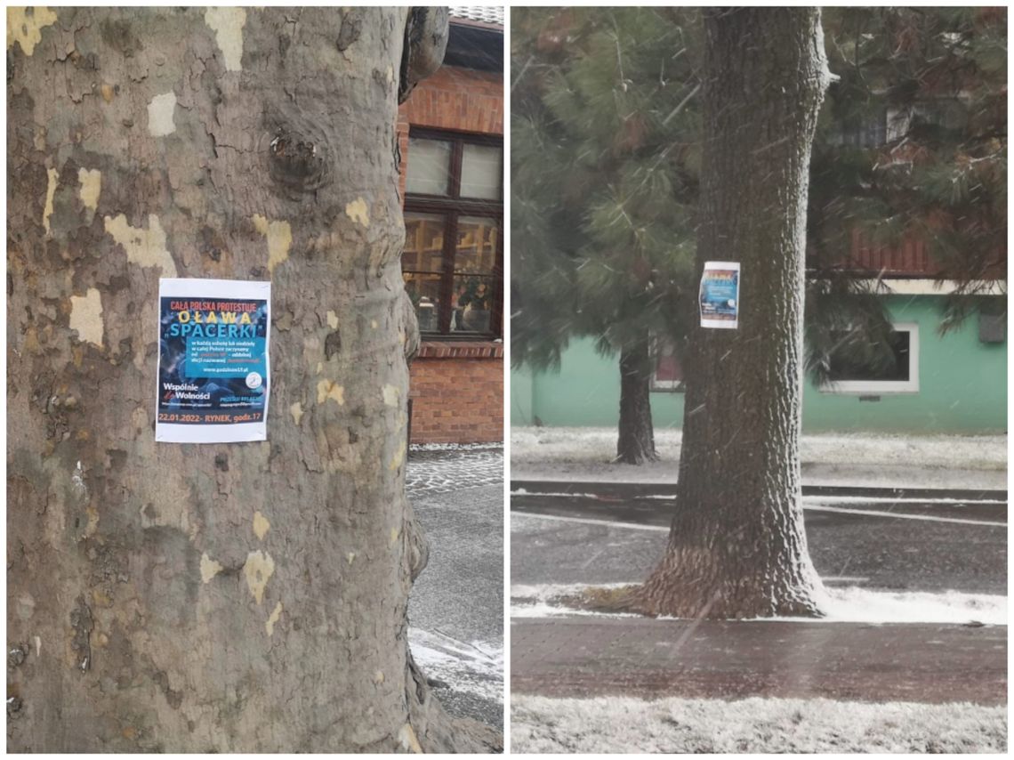 Drzewo to nie miejsce na plakat!