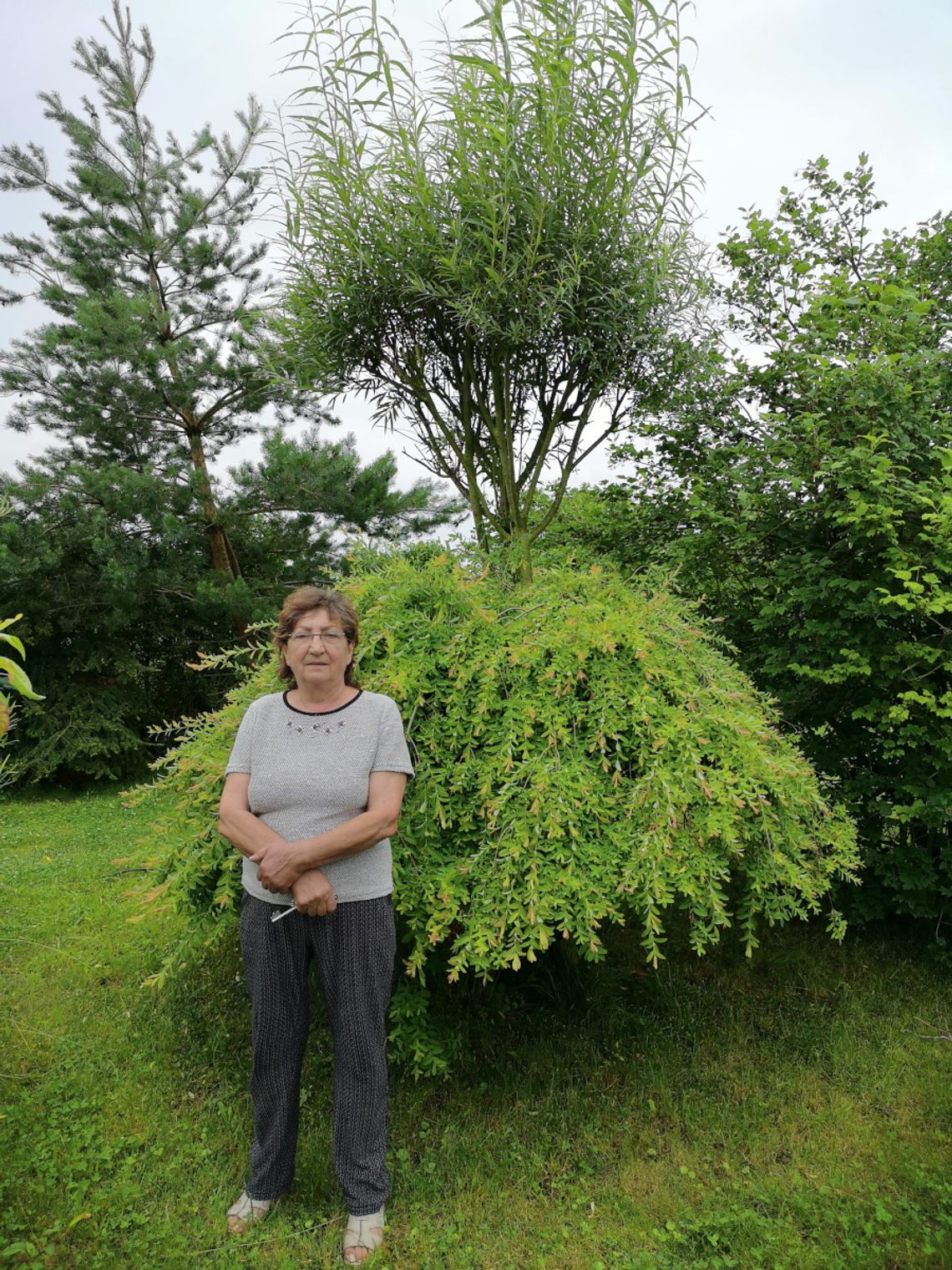 Dwie w jednej! Też masz wyjątkową roślinę? Dwie w jednej! Też masz wyjątkową roślinę?