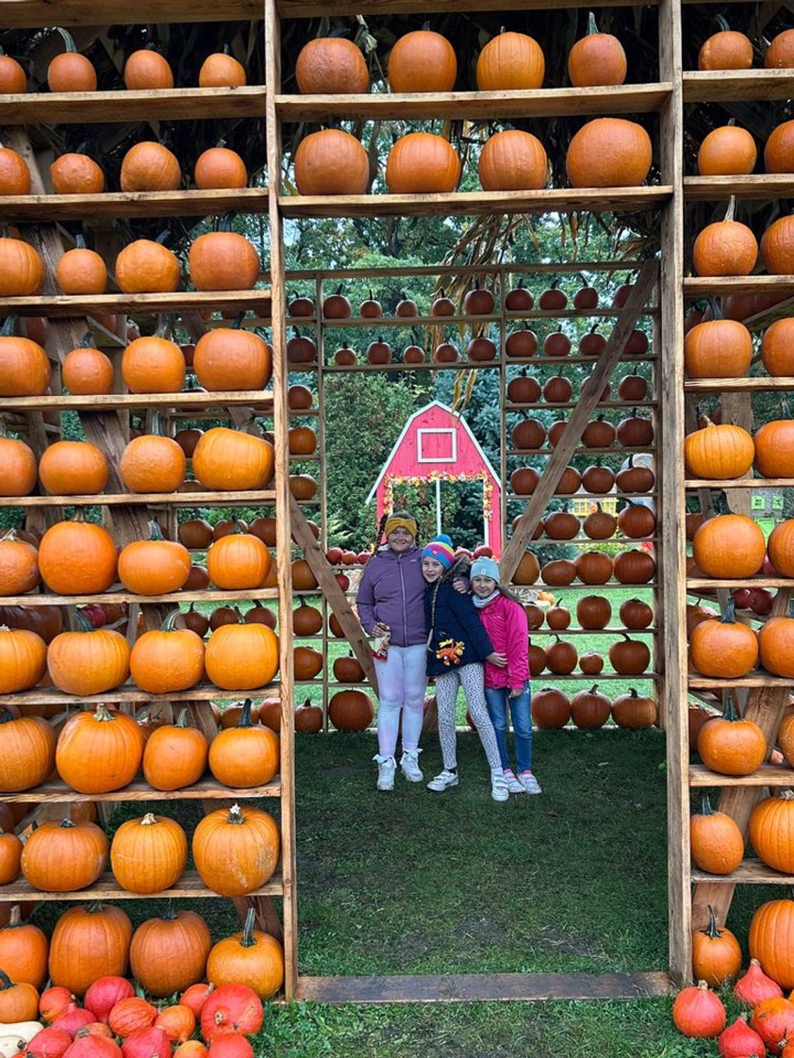 Dyniowy sezon ruszył na dobre