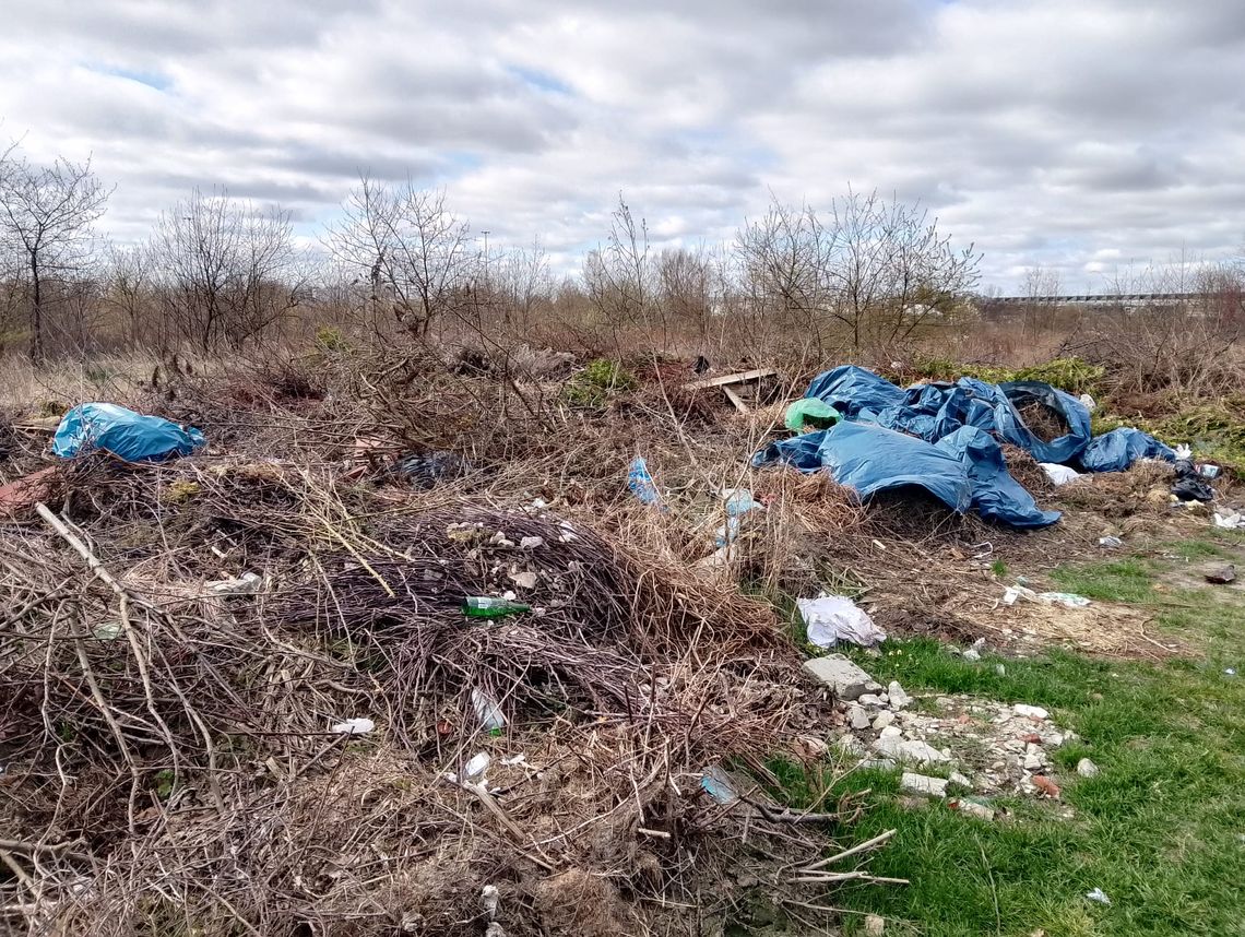 Dzikie wysypisko przy działkach