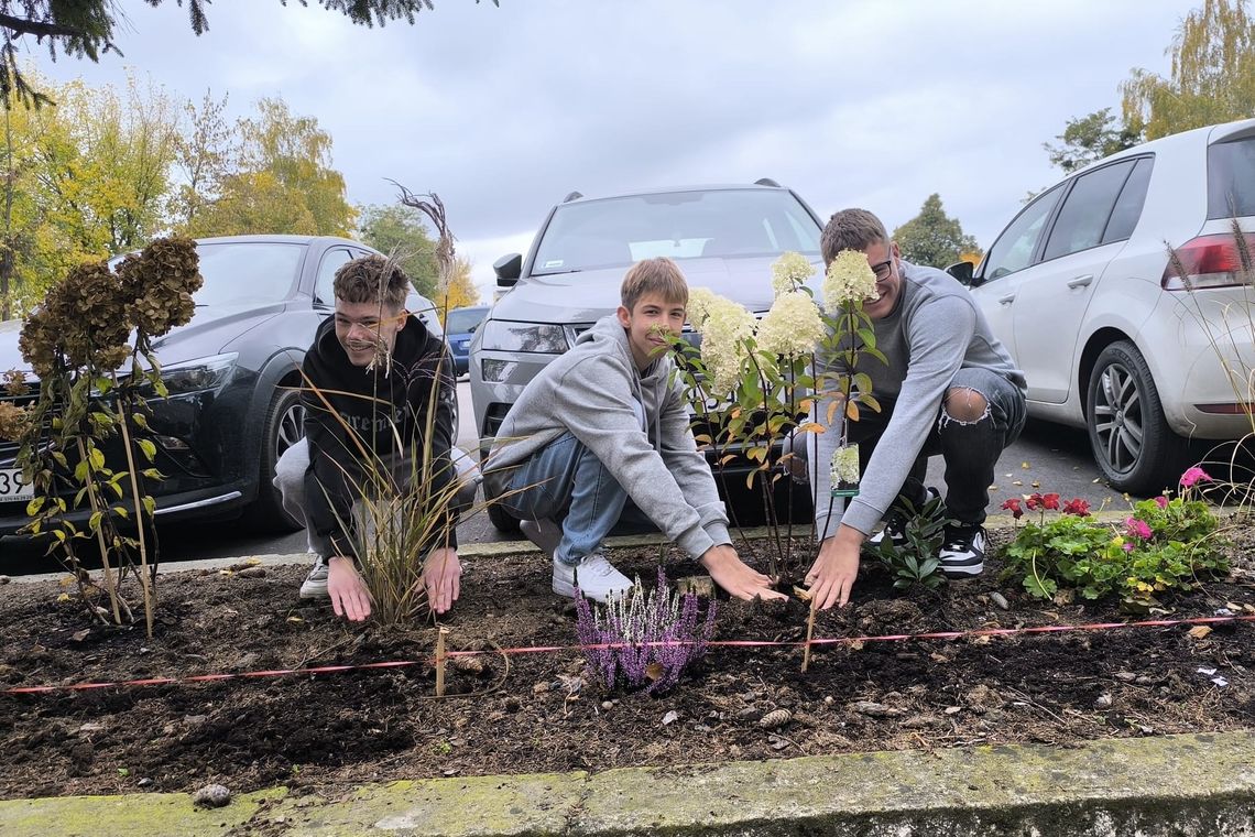 Eko Kawiarenka i rośliny wokół szkoły