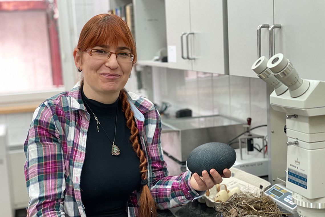 dr Joanna Rosenberger