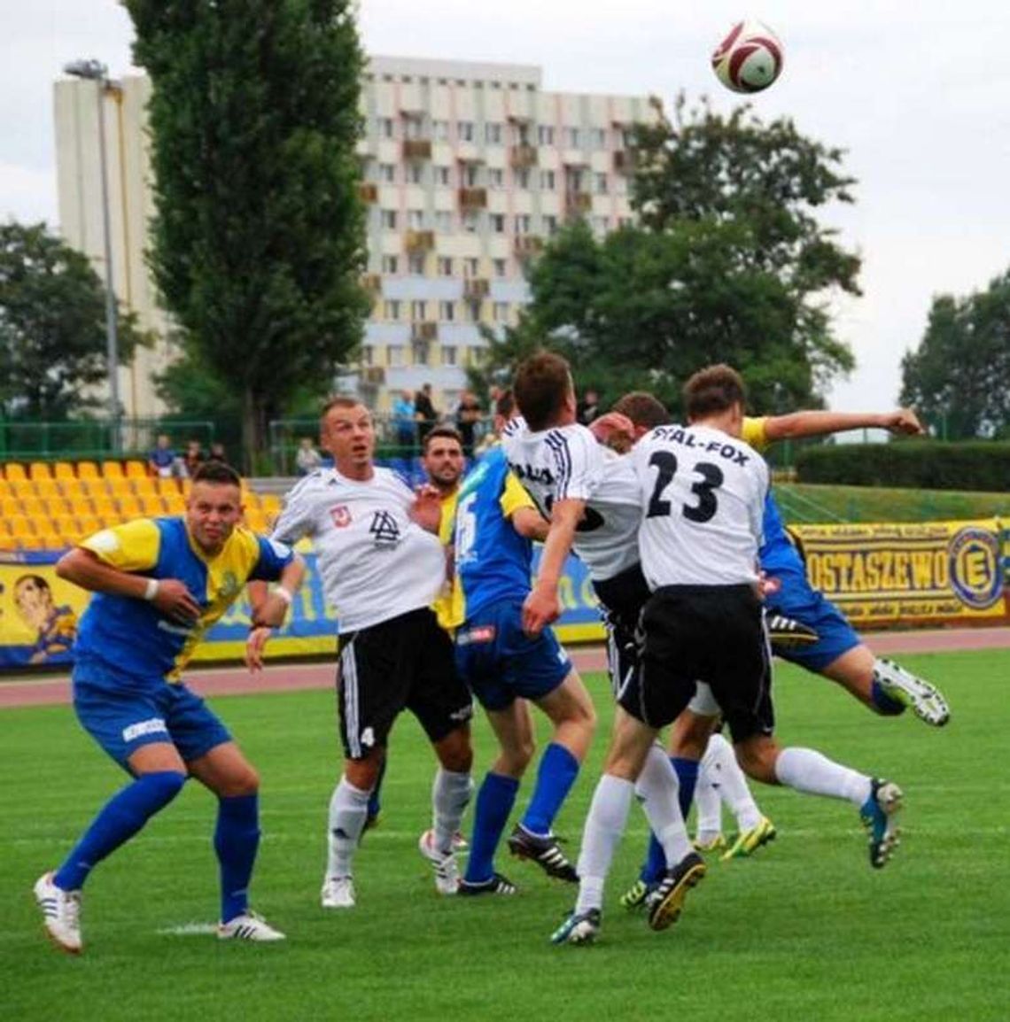 Elana nieograna Elana nieograna