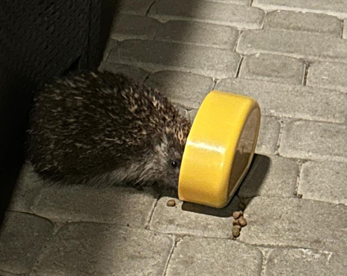 Znów przychodzi co noc. To dobrze?