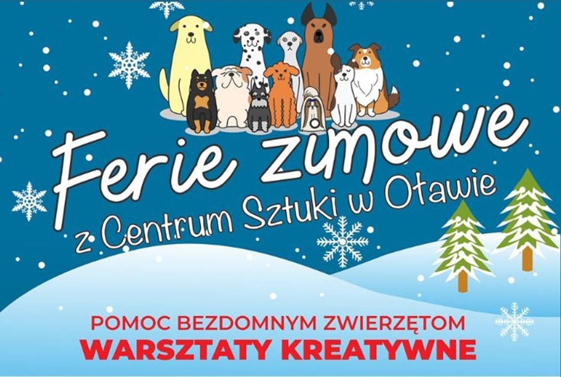 FERIE ZIMOWE Z CENTRUM SZTUKI W OŁAWIE – POMOC BEZDOMNYM ZWIERZĘTOM