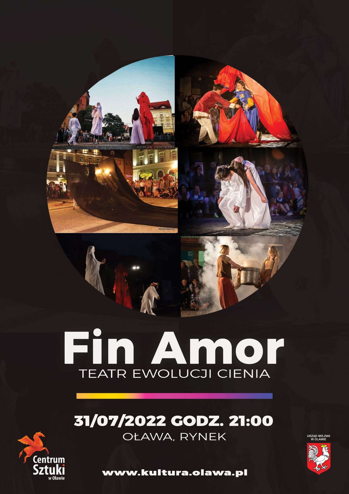 Fin Amor - Teatr Ewolucji Cienia!