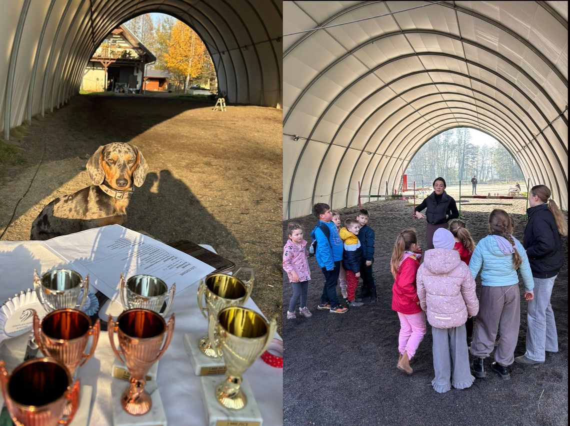 Fundacja Ranczo Gać zaprasza na bezpłatne wydarzenie