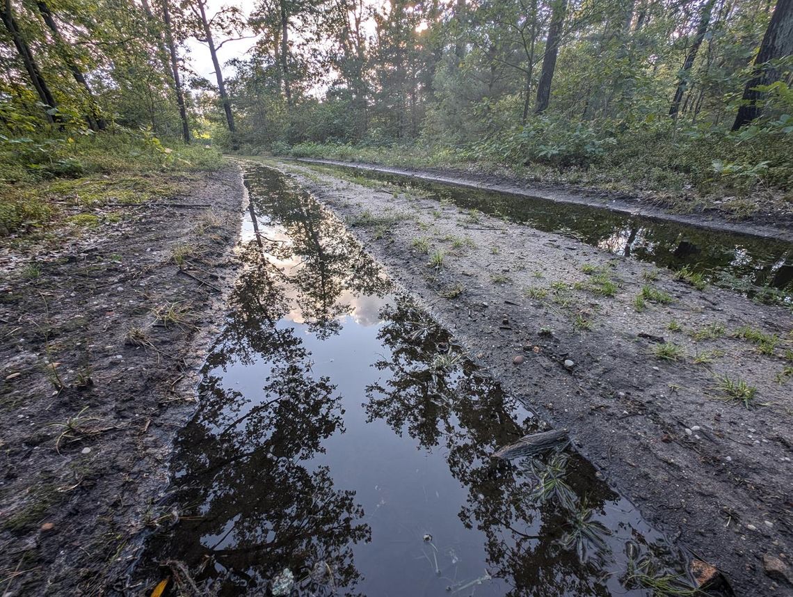 Gdy w Brzegu woda osiągnie 630 cm, otworzą polder Oława-Lipki. Co to znaczy?