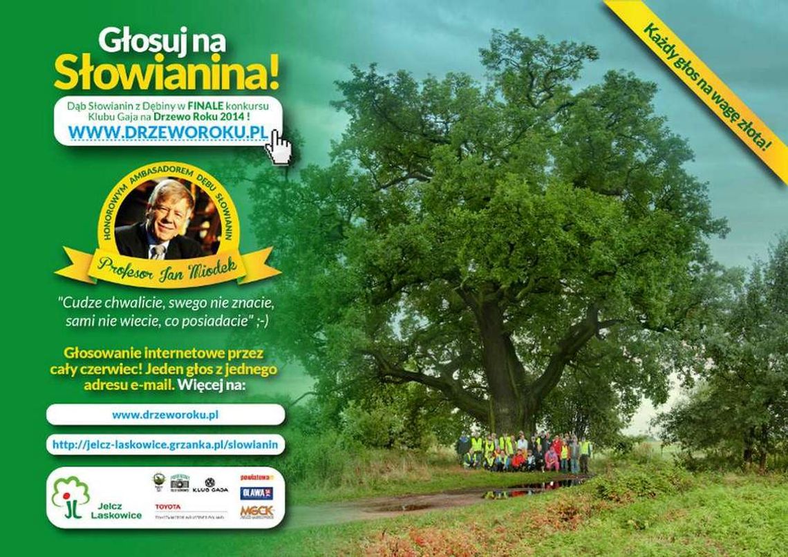 Głosuj na "Słowianina". Ostatnia szansa na wygraną Głosuj na "Słowianina". Ostatnia szansa na wygraną