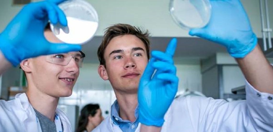 Gra o stypendium i udział w obozie naukowym ADAMED SmartUP Gra o stypendium i udział w obozie naukowym ADAMED SmartUP