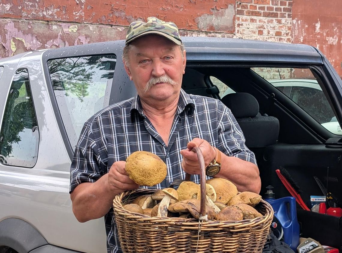 Henryk Markowski zebrał pierwszy koszyk. Sezon na grzyby otwarty