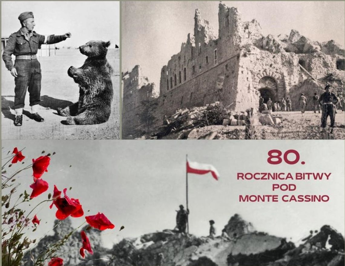 Interaktywne świętowanie 80. rocznicy bitwy pod Monte Cassino