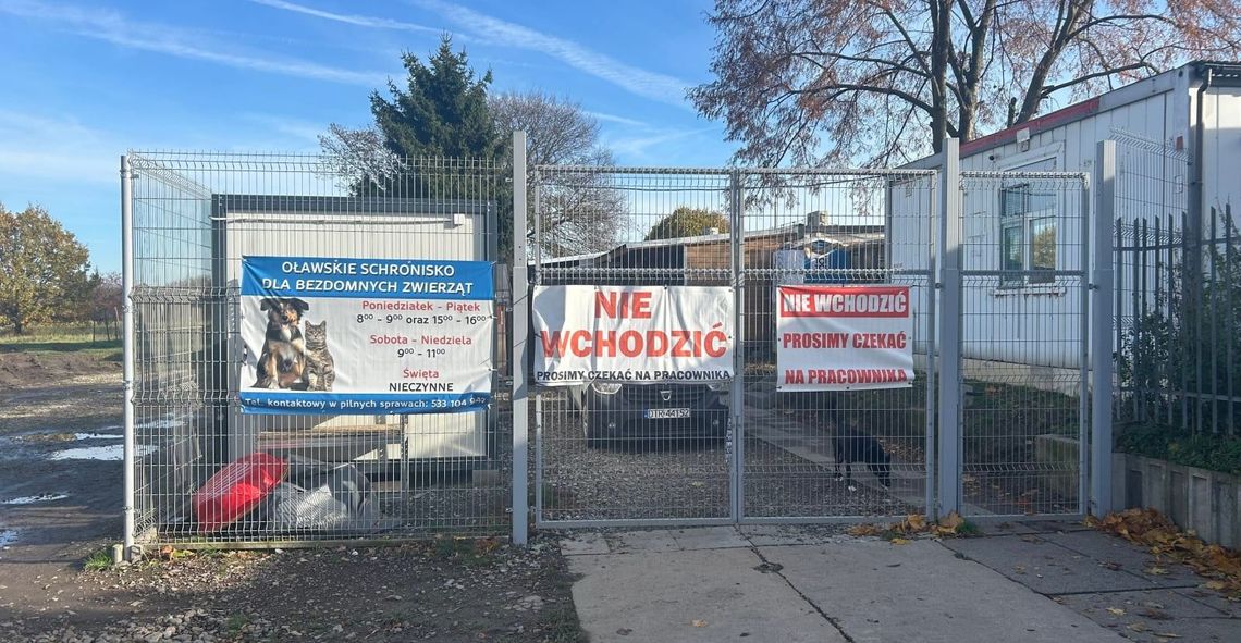 Jak i kiedy odwiedzać Schronisko dla Bezdomnych Zwierząt w Oławie Jak i kiedy odwiedzać Schronisko dla Bezdomnych Zwierząt w Oławie
