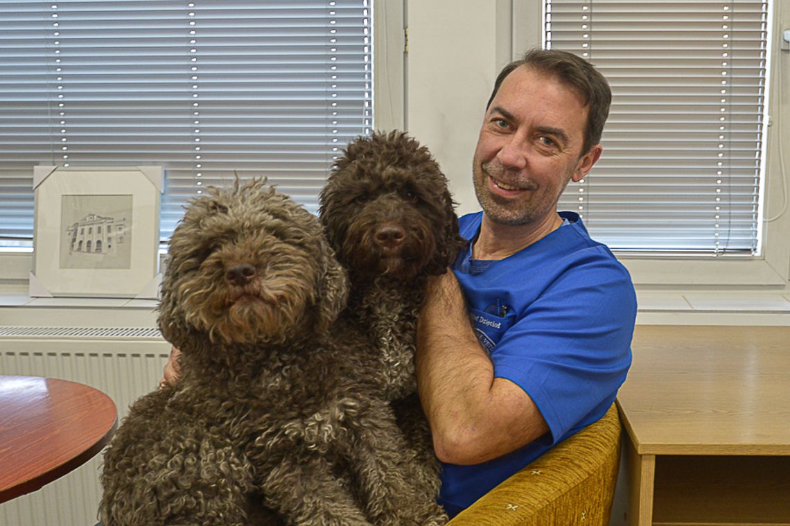 Co zmienia się w mózgu zakochanego psa?