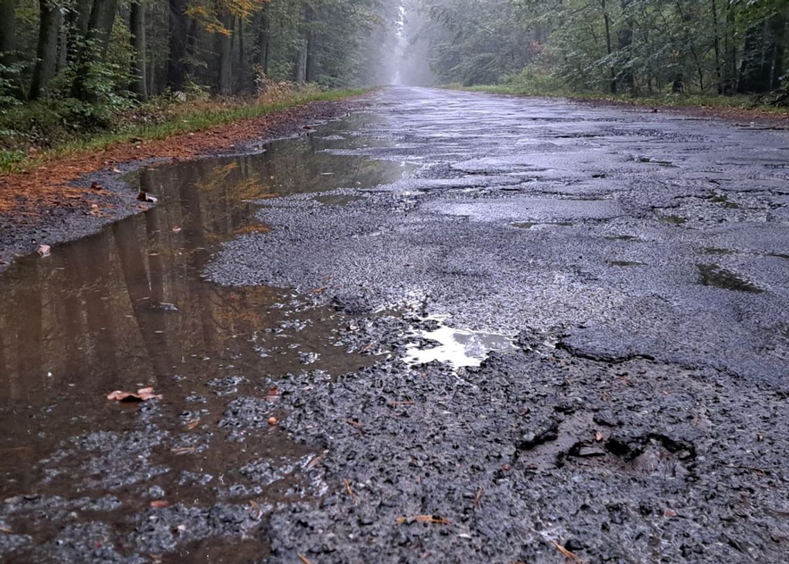 Jeden odwołany, ale będzie kolejny przetarg na tę drogę