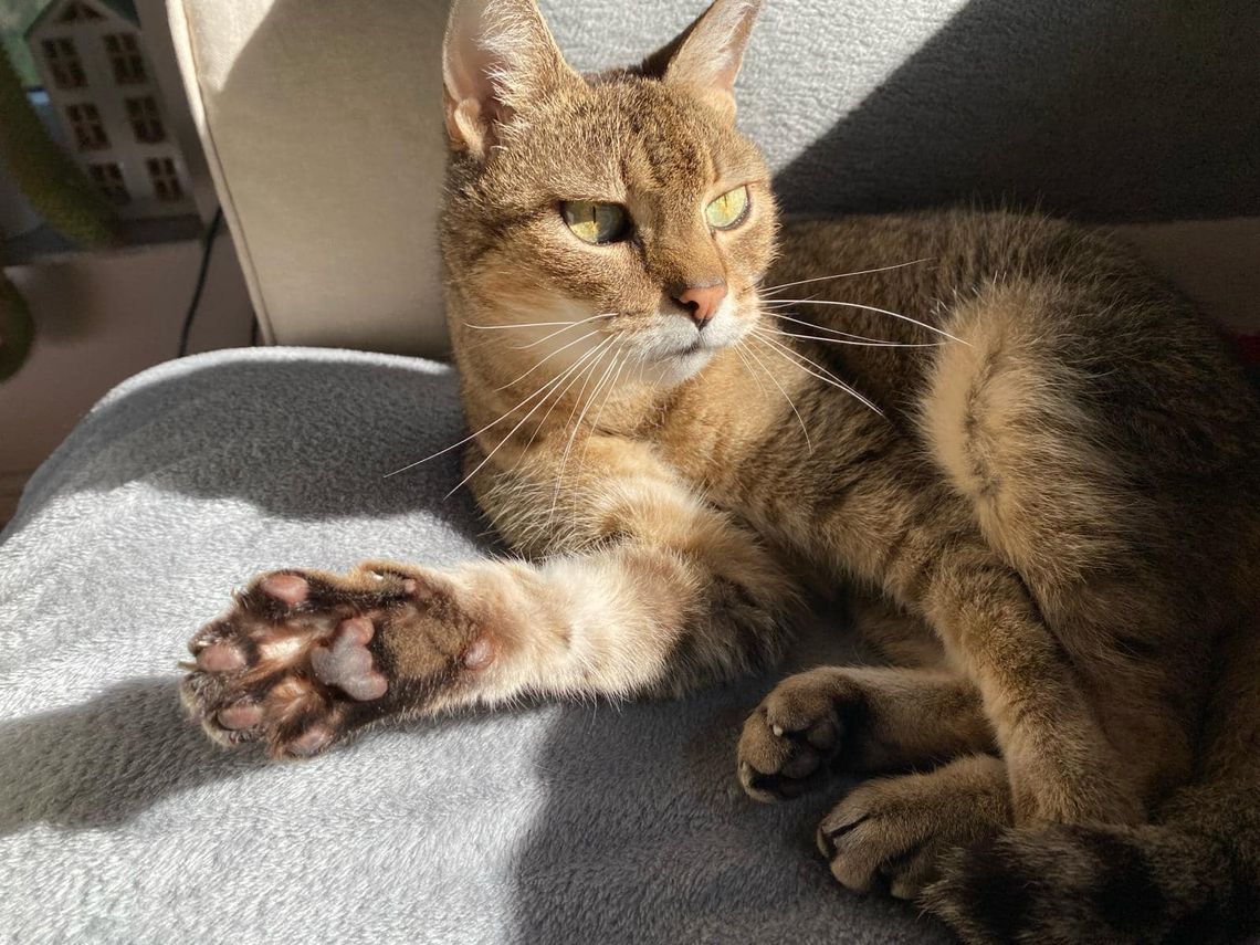 Jej opiekunka zginęła w wypadku. Pomożesz? Jej opiekunka zginęła w wypadku. Pomożesz?