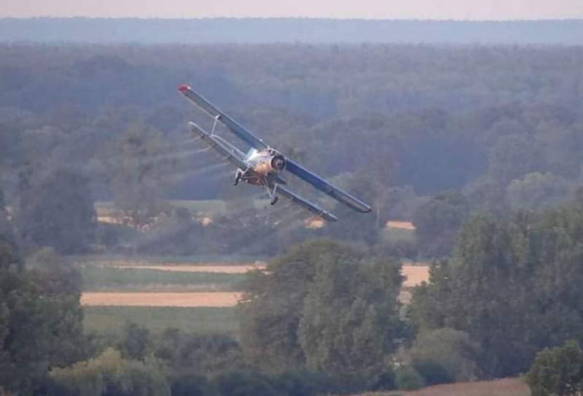 Jelcz-Laskowice. UWAGA! Jutro odkomarzanie!