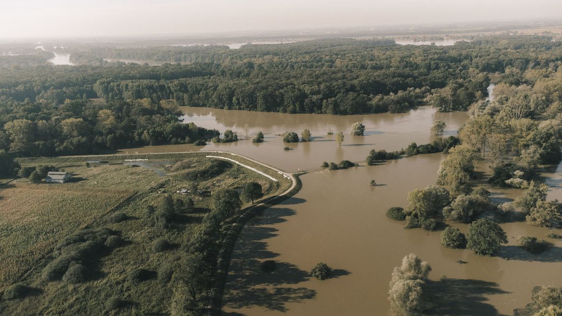 Jelcz z lotu ptaka. ZDJĘCIA z piątku 20 września