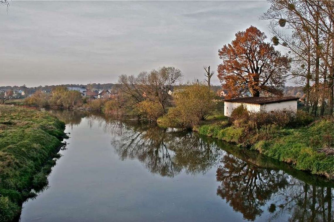 Jesienny spacer nad Odrą